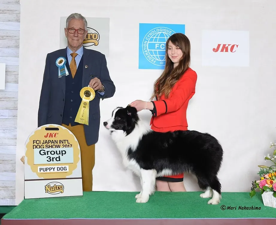 チャンピオンたちを見る